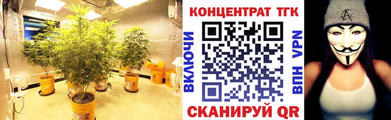 хочу   hydra маркетплейс  Дистиллят ТГК Wax  Рудня 