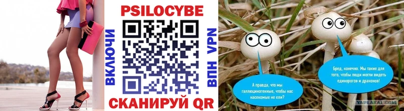 Псилоцибиновые грибы ЛСД  Рудня 
